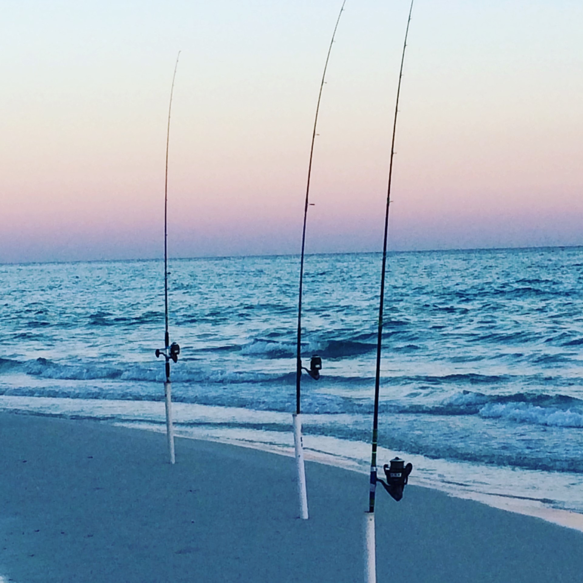 Reel30a  Surf Fishing Rentals & Charters